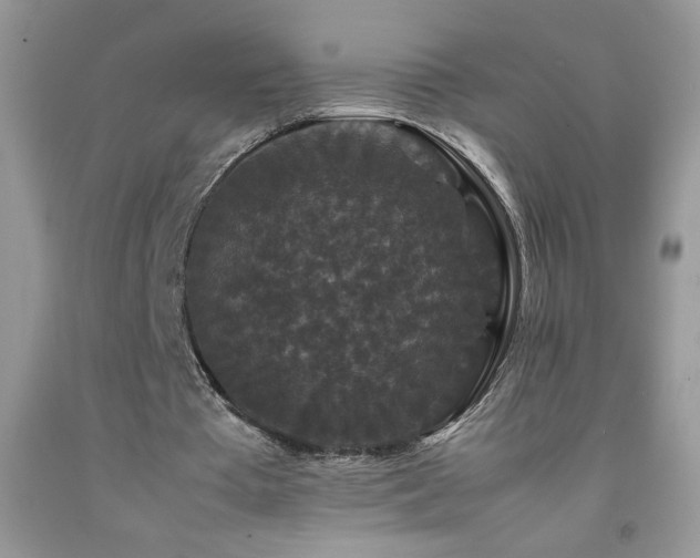 X0000092290385200709141304