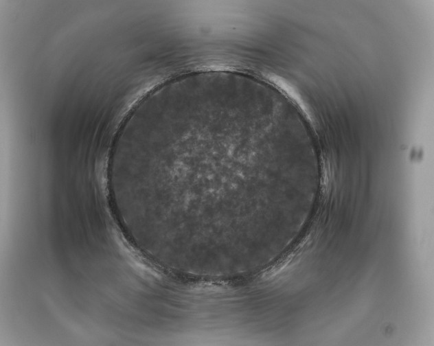 X0000092290386200709141304