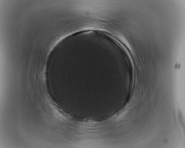 X0000092290387200709141304