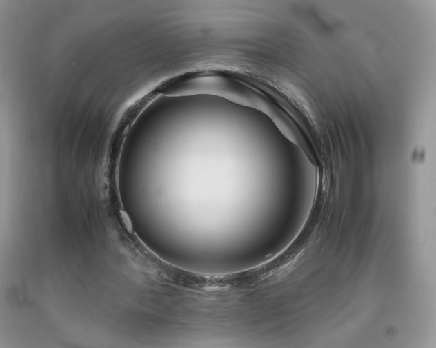 X0000092290388200709141304