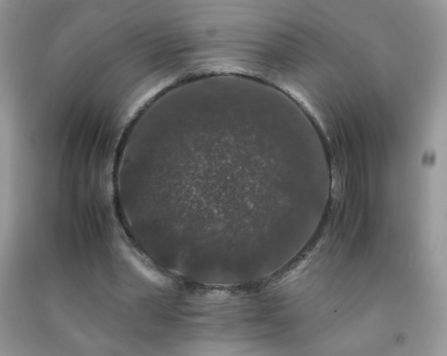 X0000092290390200709141303