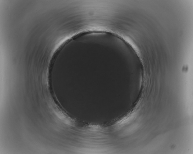 X0000092290391200709141303