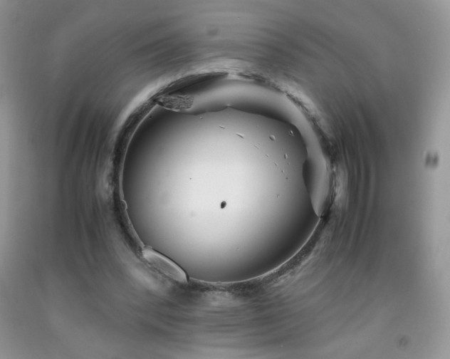 X0000092290392200709141303