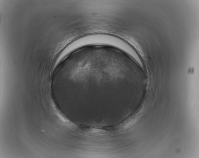 X0000092290393200709141303