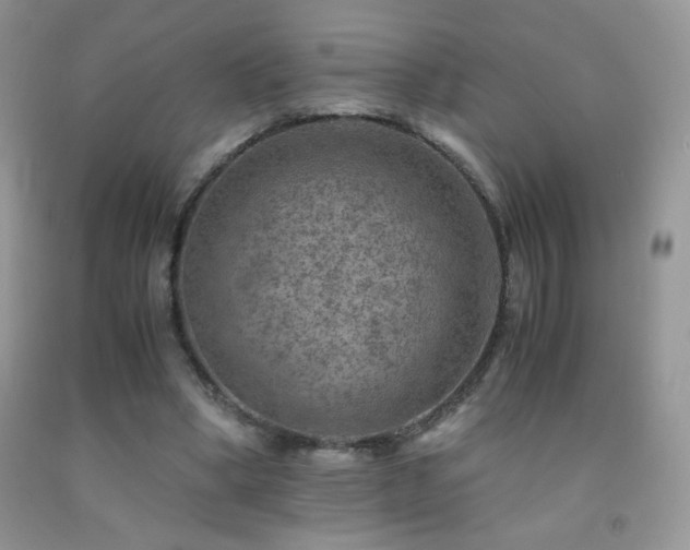 X0000092290394200709141303