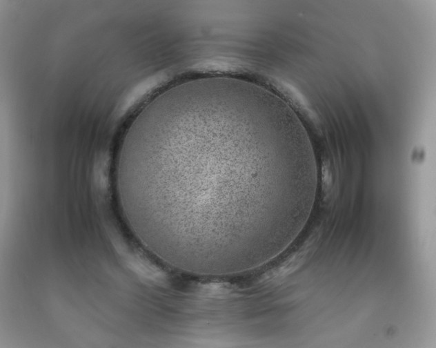 X0000092290396200709141303