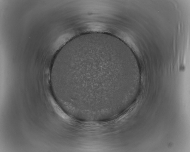 X0000092290397200709141303