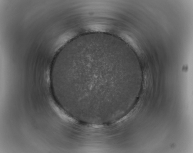 X0000092290398200709141303