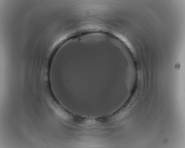 X0000092290399200709141303