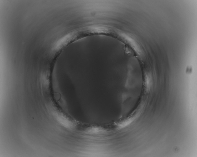 X0000092290402200709141303