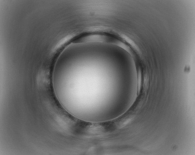 X0000092290403200709141303