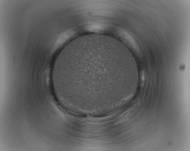 X0000092290404200709141303