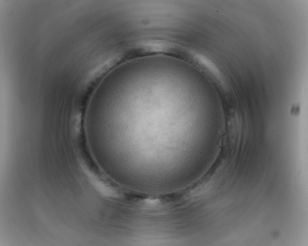 X0000092290406200709141303