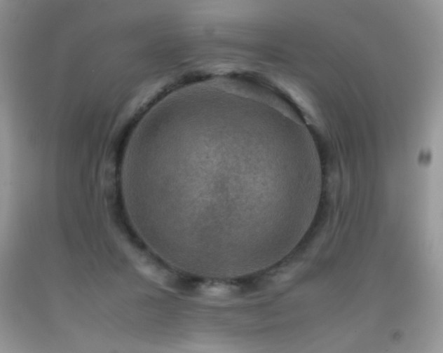 X0000092290407200709141303