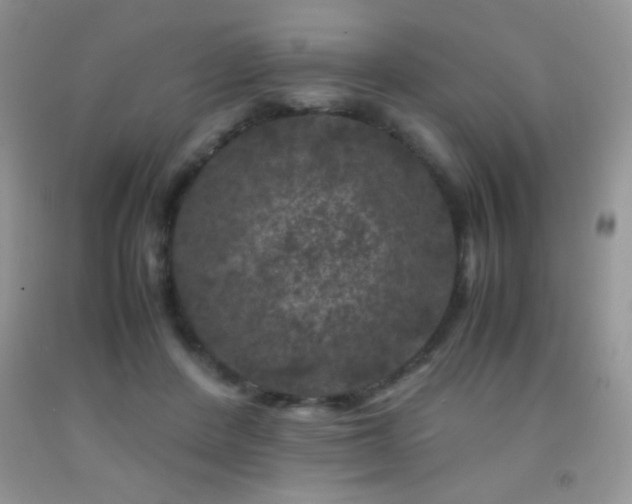 X0000092290408200709141303