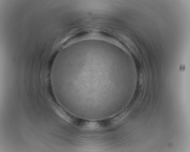 X0000092290409200709141303