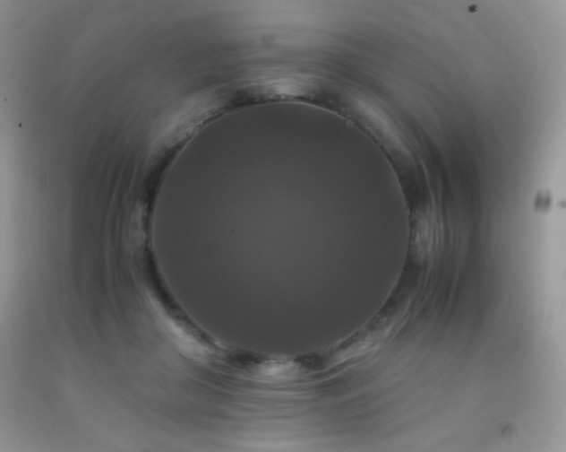 X0000092290410200709141303