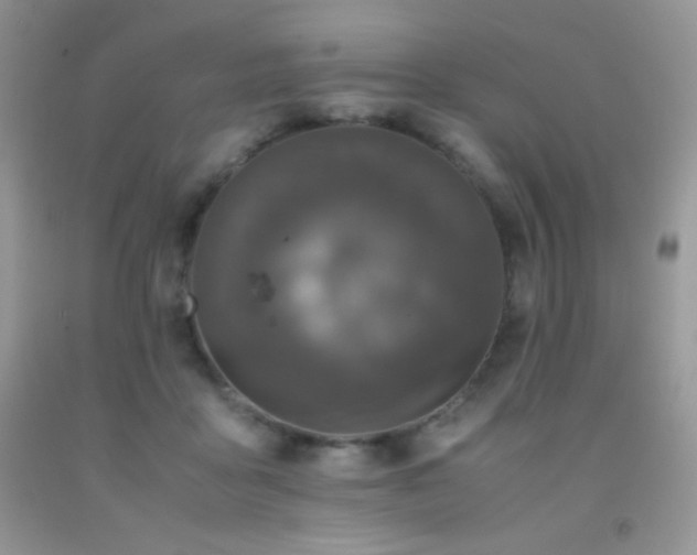 X0000092290411200709141303