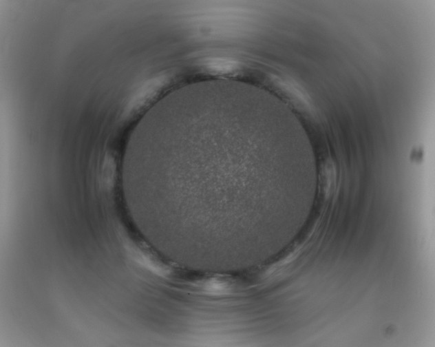 X0000092290412200709141303