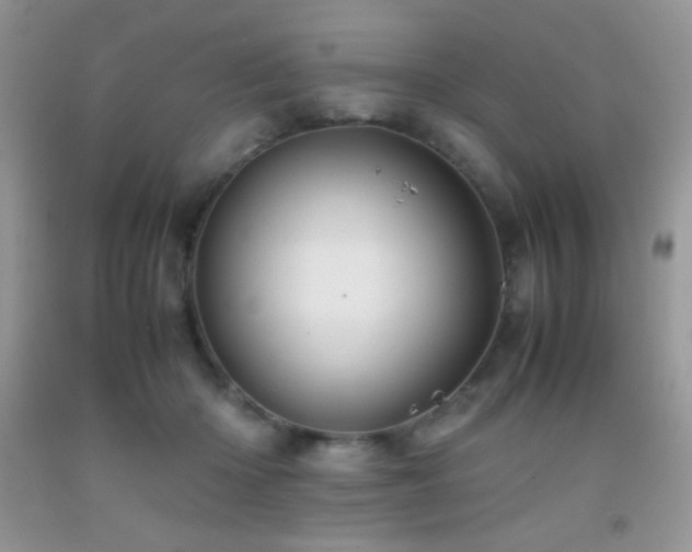 X0000092290414200709141303