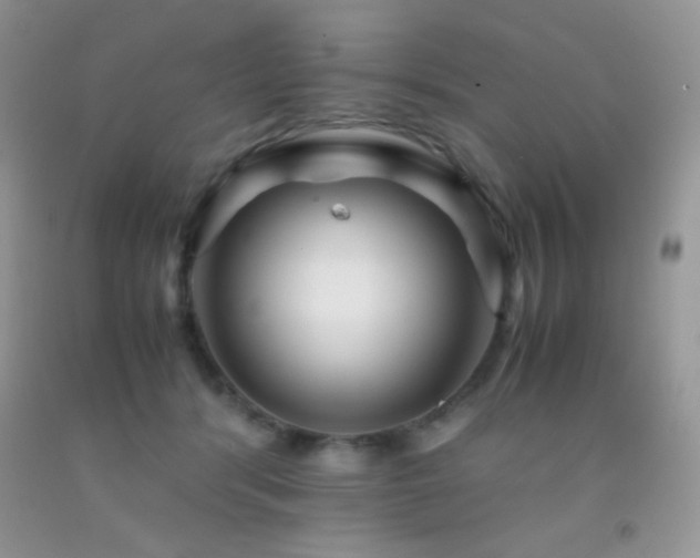 X0000092290416200709141303