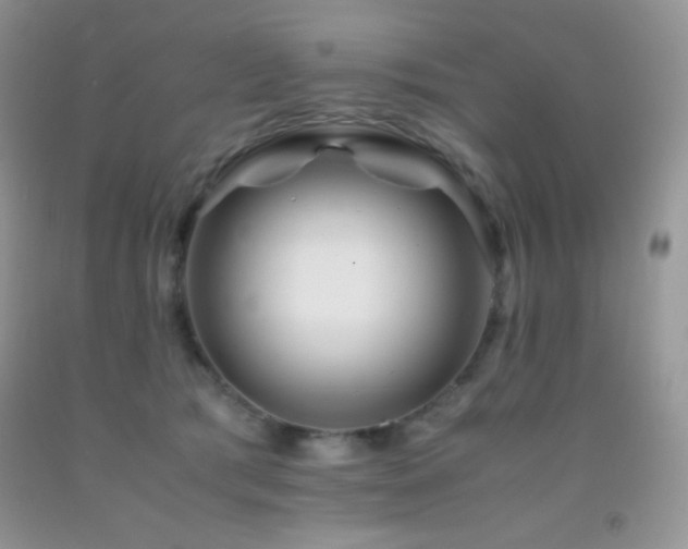 X0000092290417200709141303