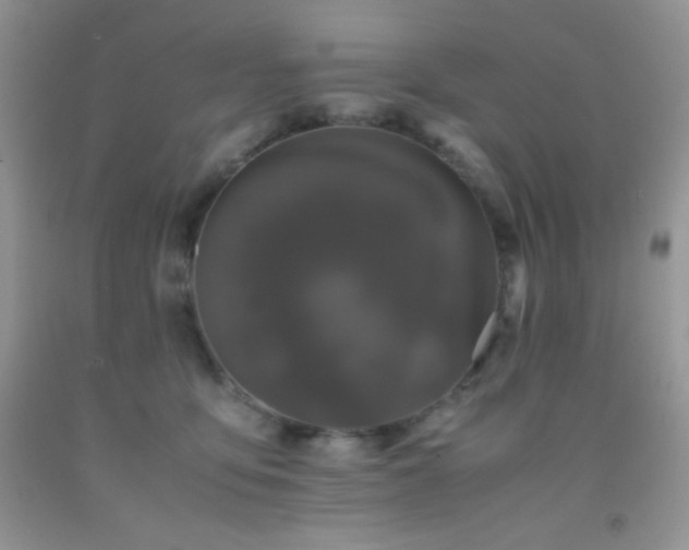 X0000092290419200709141303