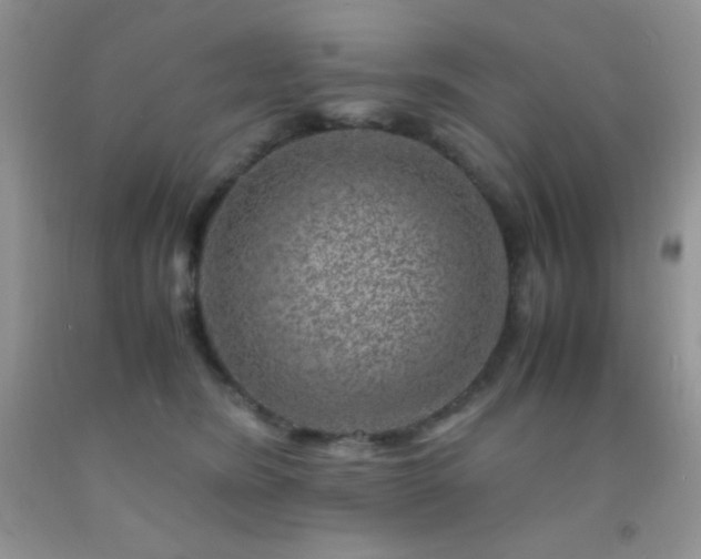 X0000092290420200709141303