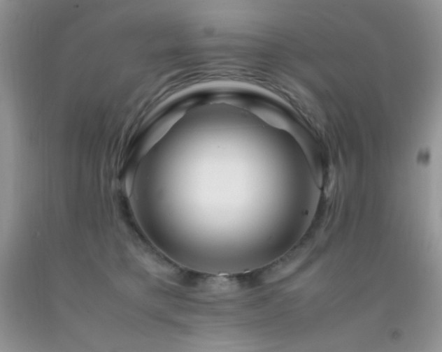 X0000092290421200709141303