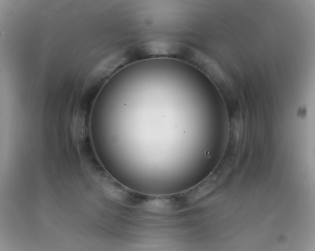 X0000092290422200709141303