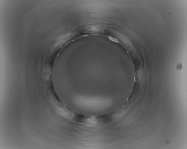 X0000092290423200709141303