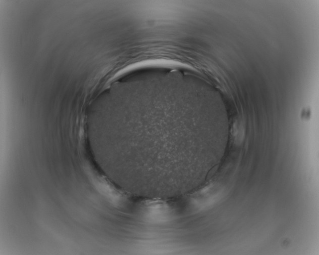 X0000092290424200709141303