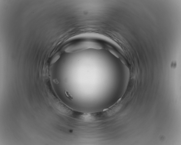 X0000092290425200709141303