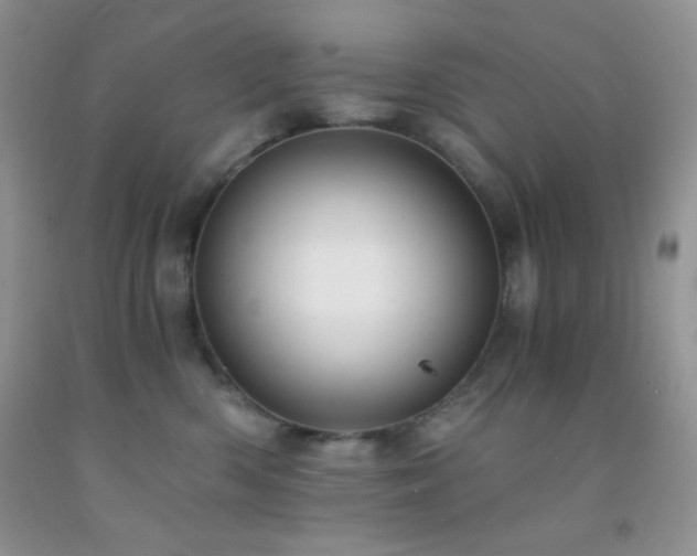 X0000092290426200709141303