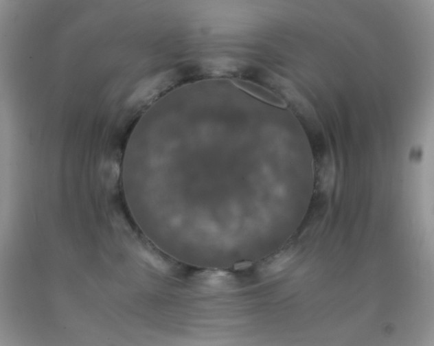 X0000092290427200709141303