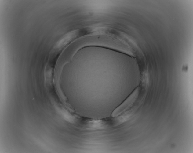 X0000092290428200709141303