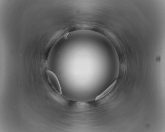 X0000092290429200709141303