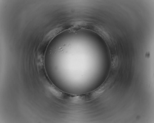 X0000092290430200709141303