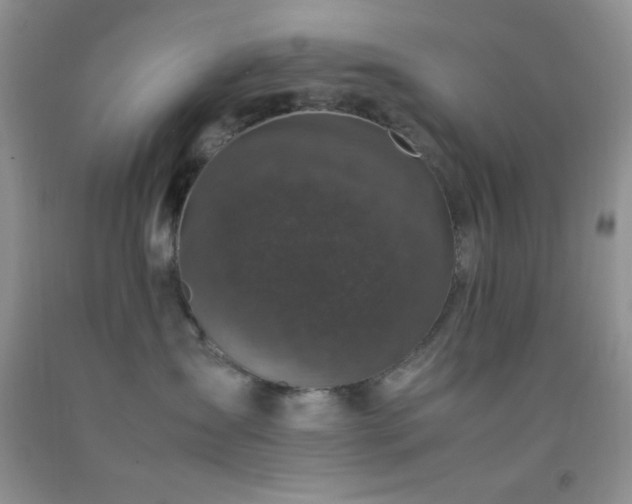 X0000092290431200709141303