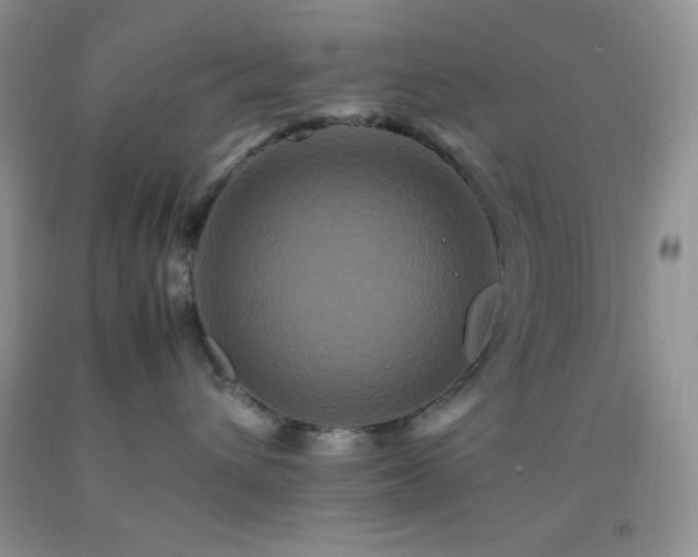 X0000092290432200709141303