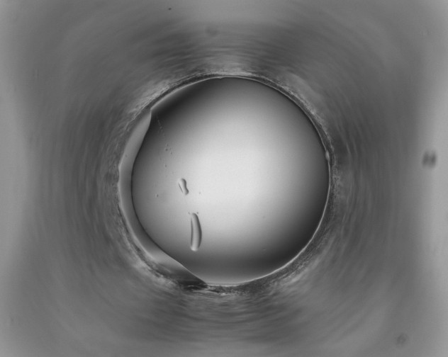 X0000092290433200709141302