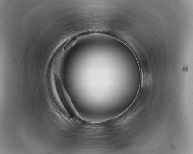 X0000092290435200709141302