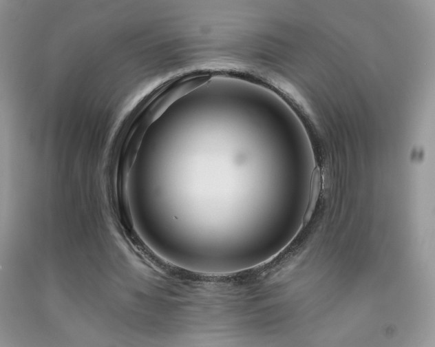 X0000092290436200709141302