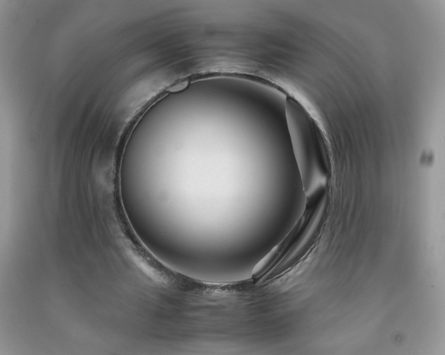 X0000092290437200709141302