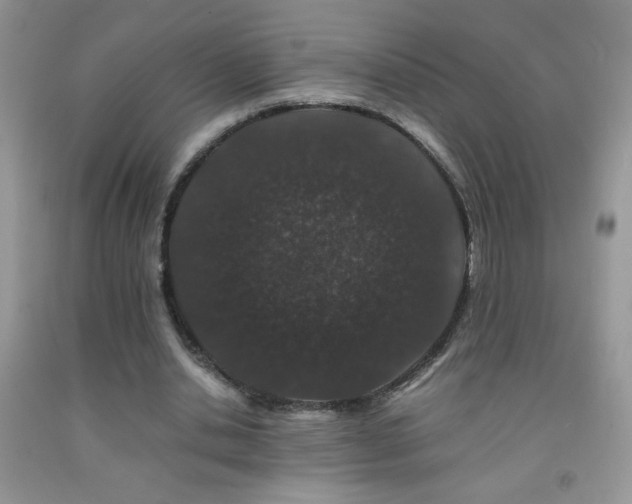 X0000092290438200709141302