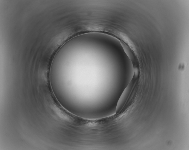 X0000092290441200709141302