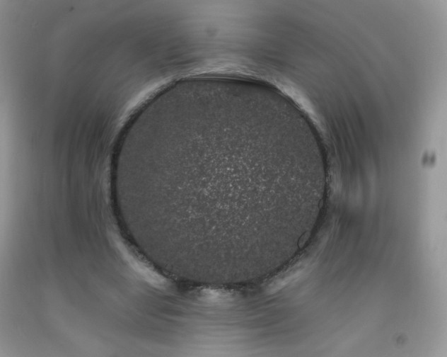 X0000092290442200709141302