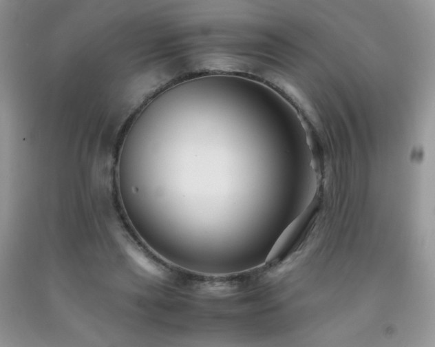 X0000092290445200709141303