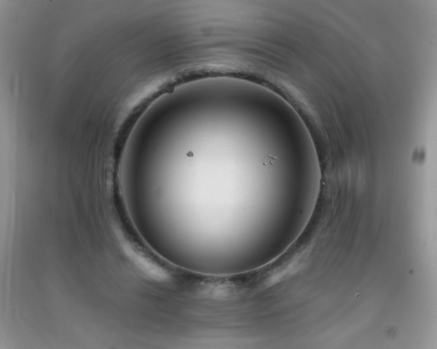 X0000092290446200709141303