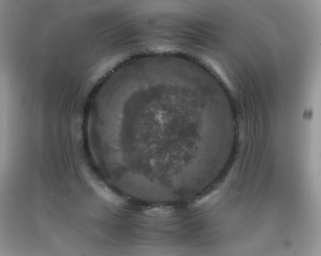 X0000092290447200709141303